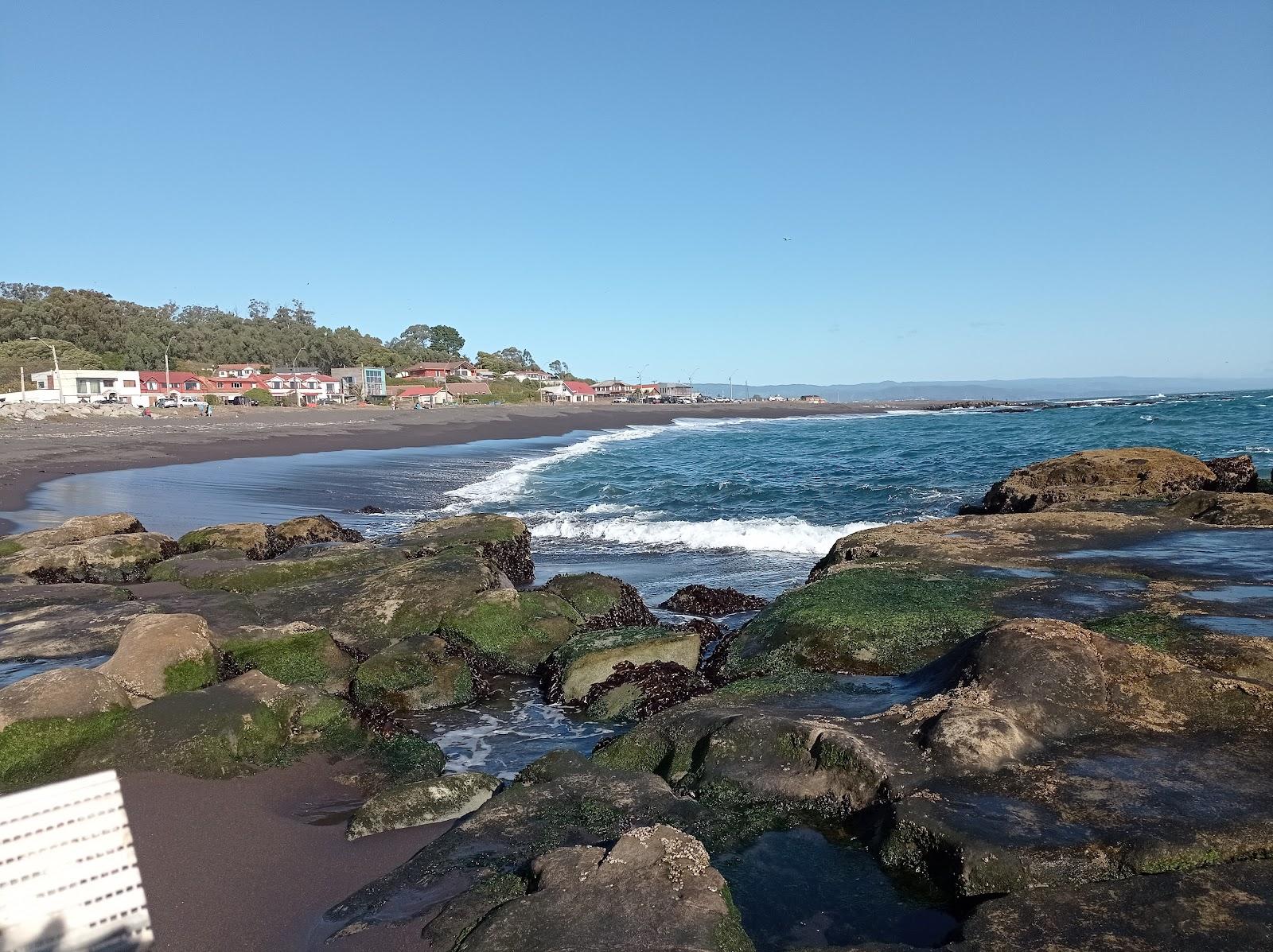 Sandee Cocholgue Beach