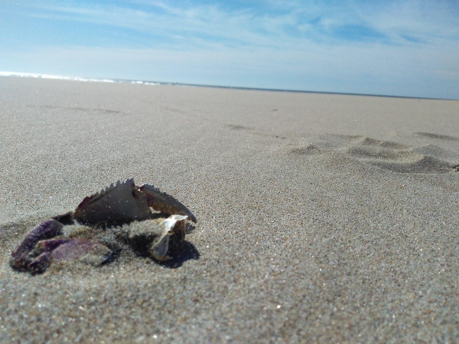 Sandee - Beachside State Recreation Site