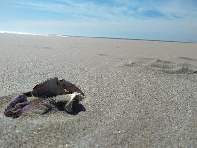 Sandee - Beachside State Recreation Site