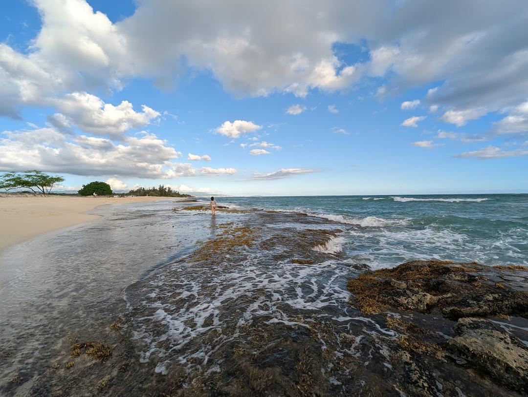 Kalaeloa (Nimitz Beach) Restoration