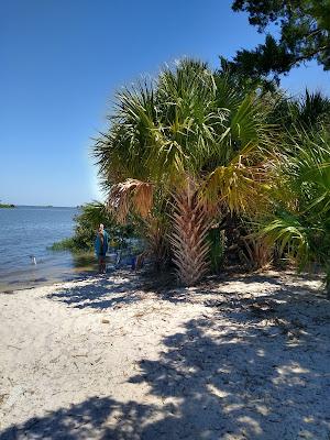 Sandee - Bird Creek Beach