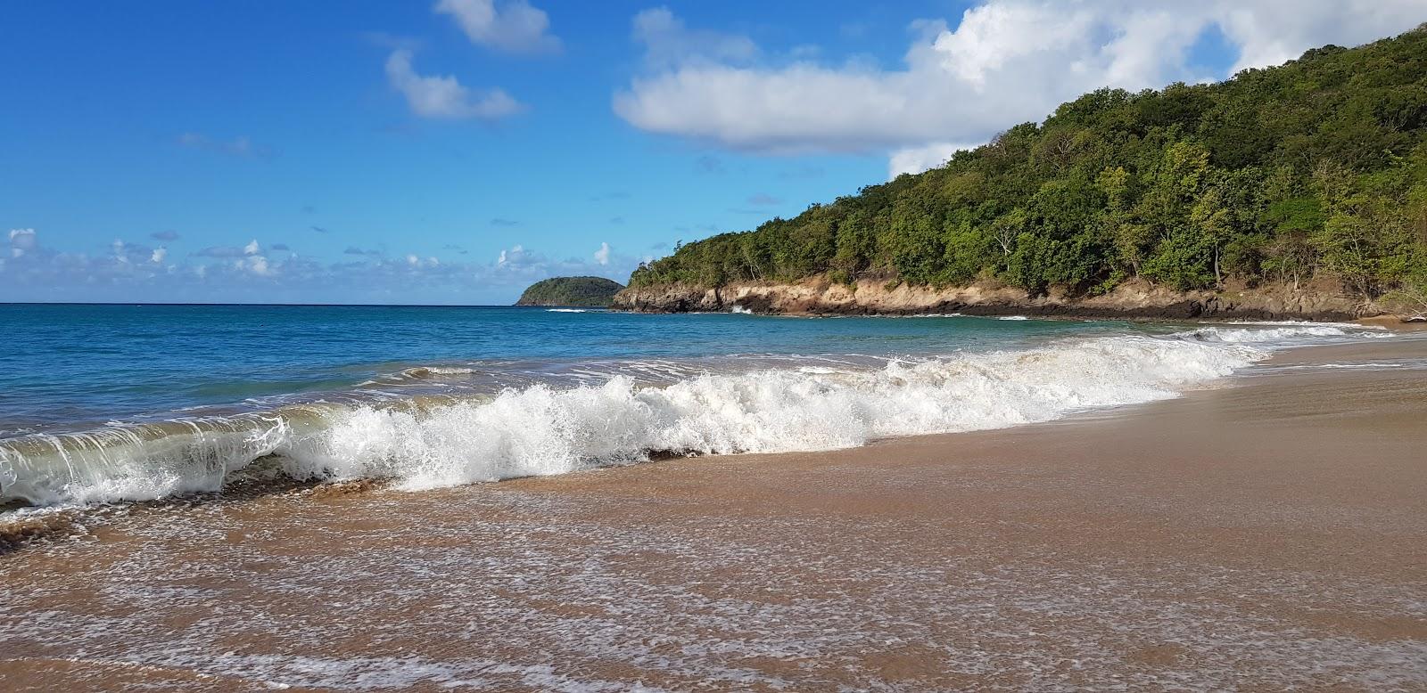 Sandee Plage Du Petit Bas Vent