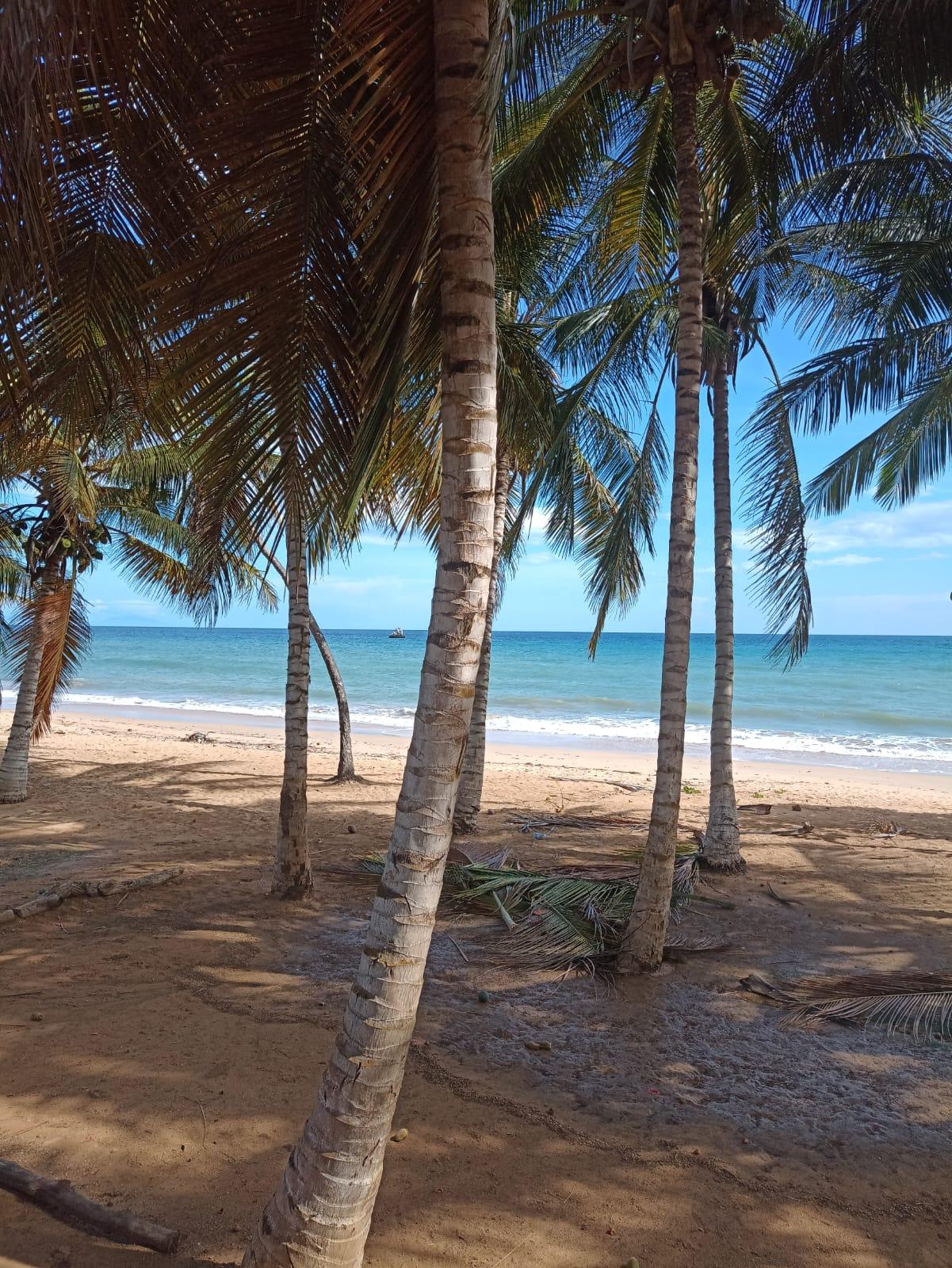 Sandee Playa Guarapo