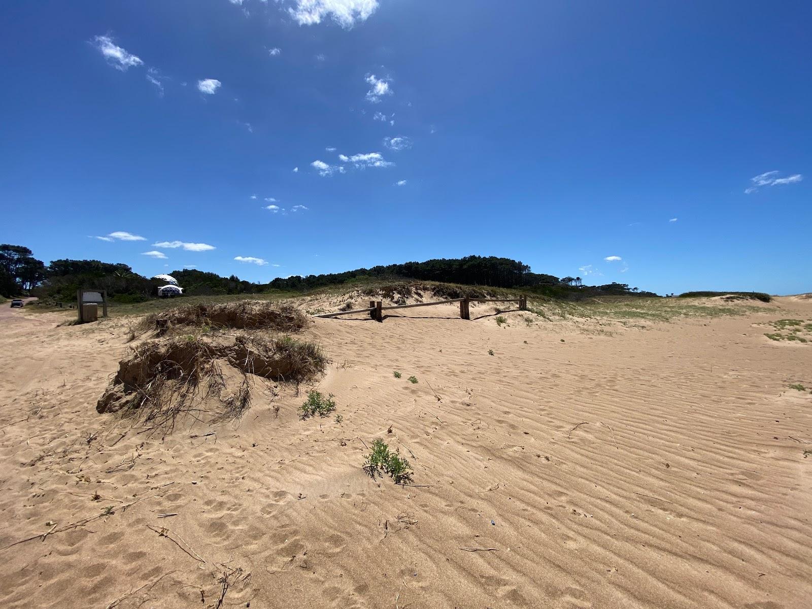 Sandee Playa Cantamar Photo