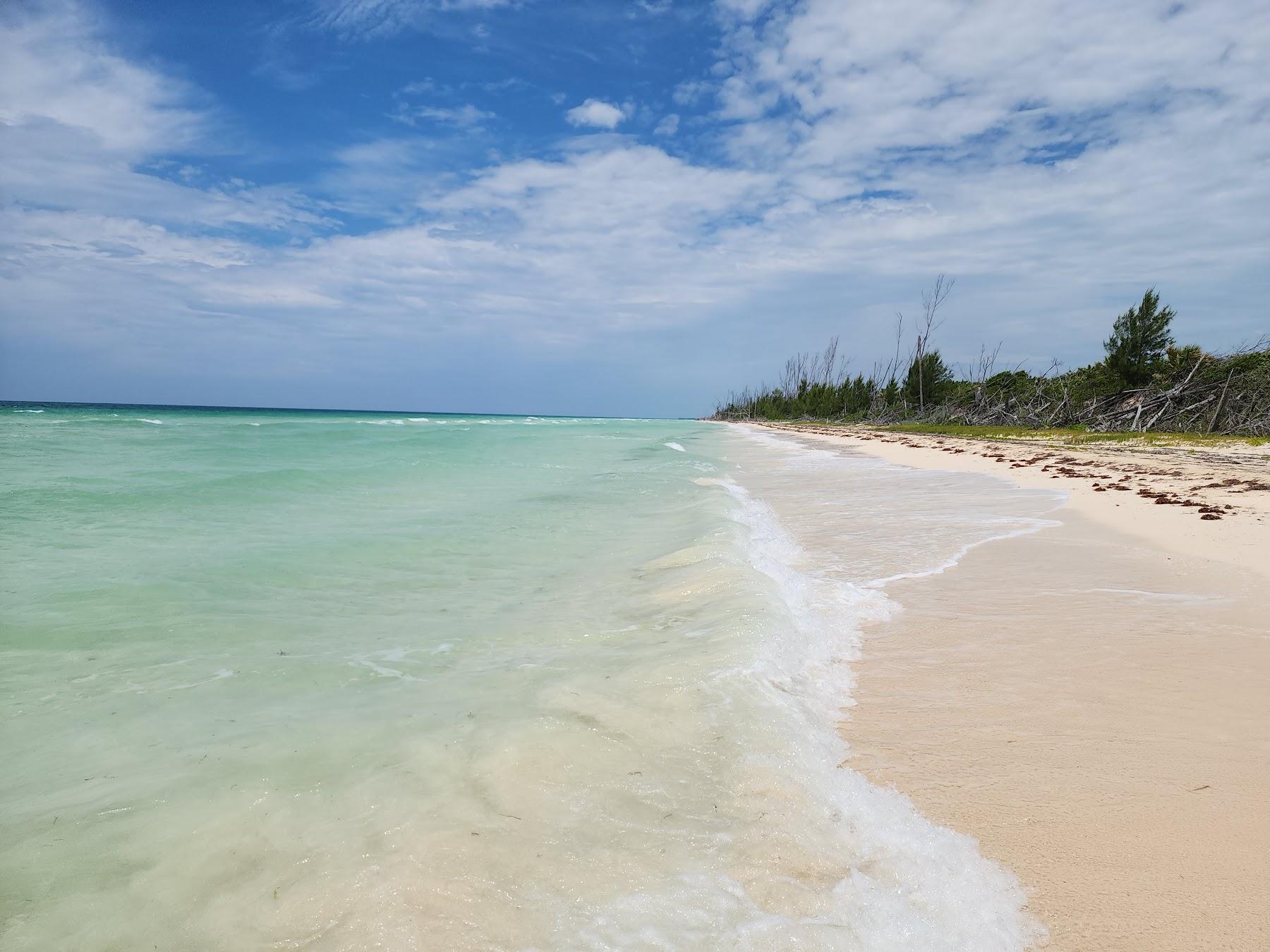 Sandee Gold Rock Beach Photo