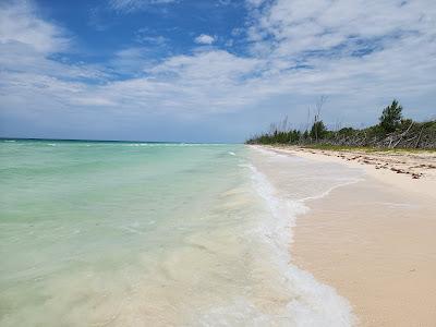 Sandee - Gold Rock Beach