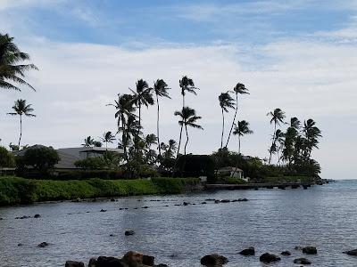 Sandee - Wailupe Beach Park