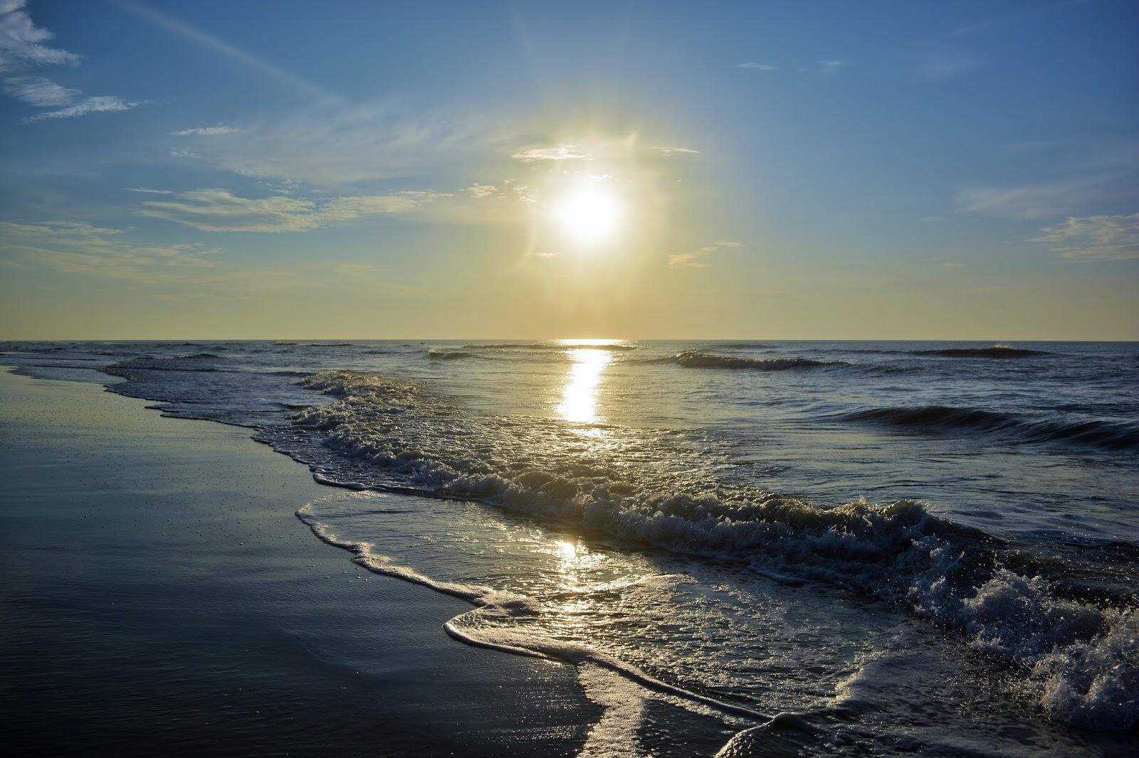 Sandee - Assateague Island