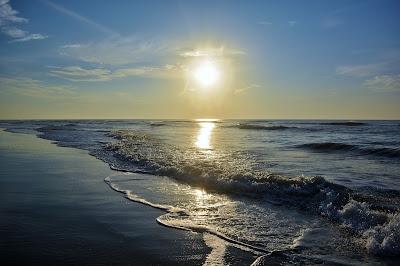 Sandee - Assateague Island