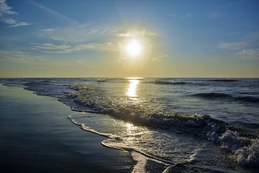 Sandee - Assateague Island