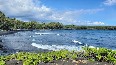 Sandee - Punalu'U Beach Park