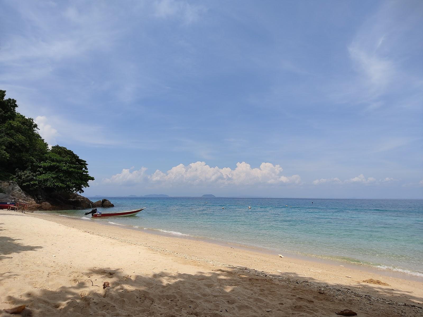 Sandee Rainforest Beach Photo