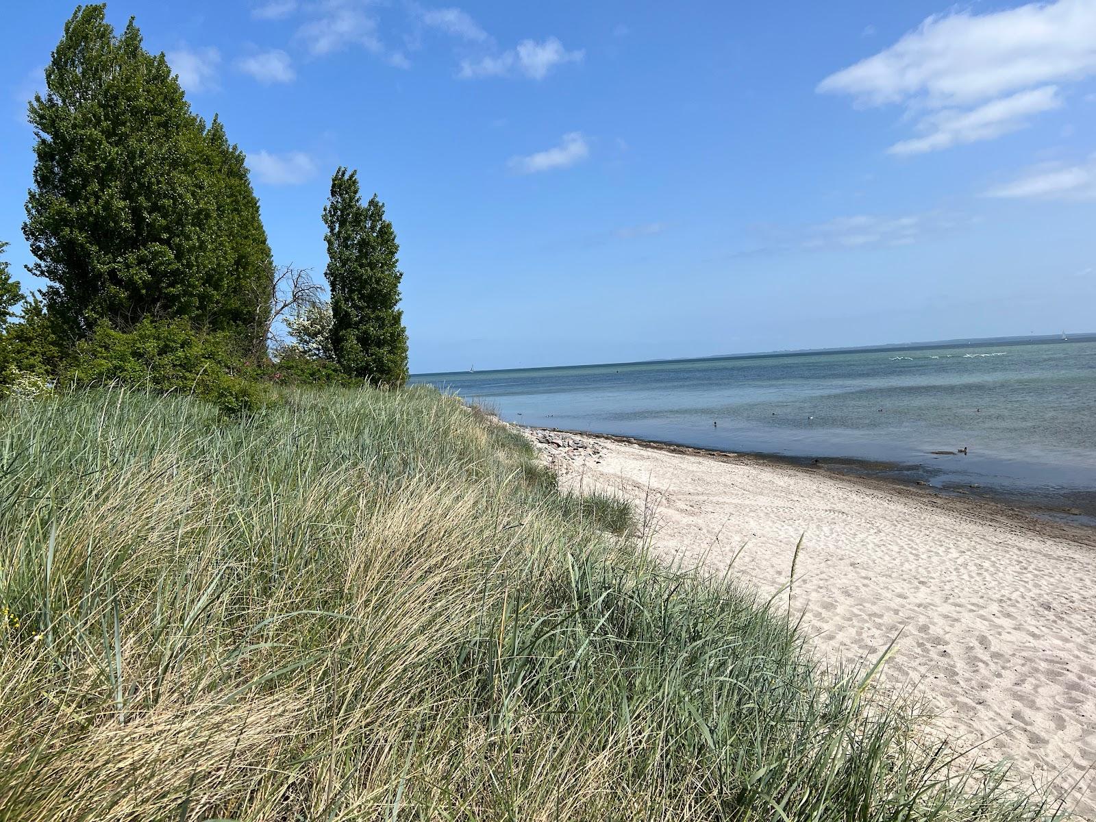 Sandee Hundestrand Pelzerhaken Neustadt