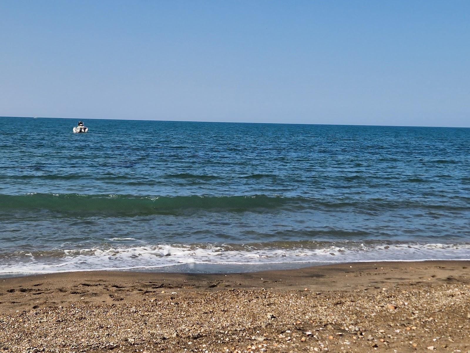 Sandee Spiaggia Di Cerenova