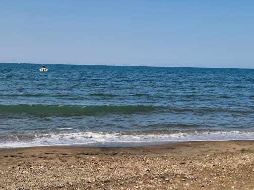 Sandee - Spiaggia Di Cerenova