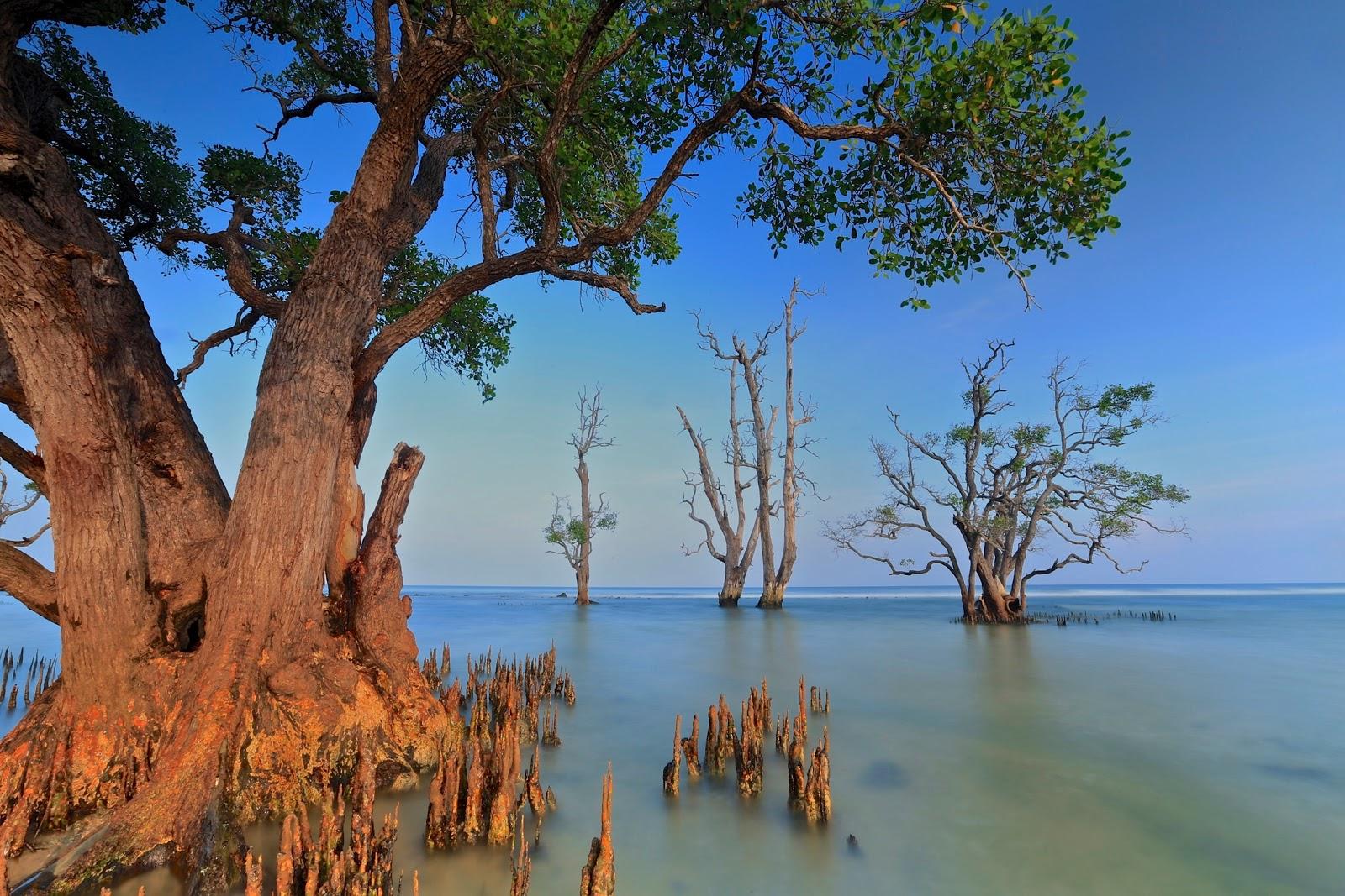 Sandee Blang Ulam, Kreung Raya - Aceh Besar Photo