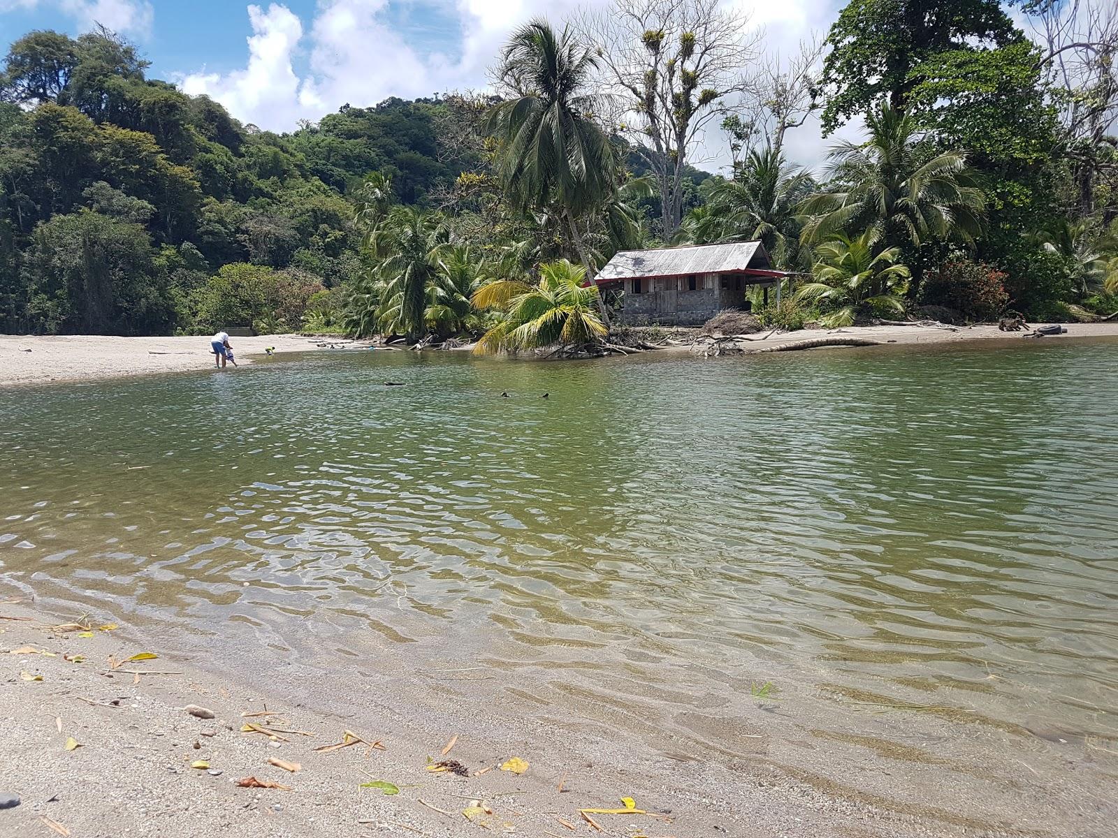 Sandee Grande Riviere Bay Photo