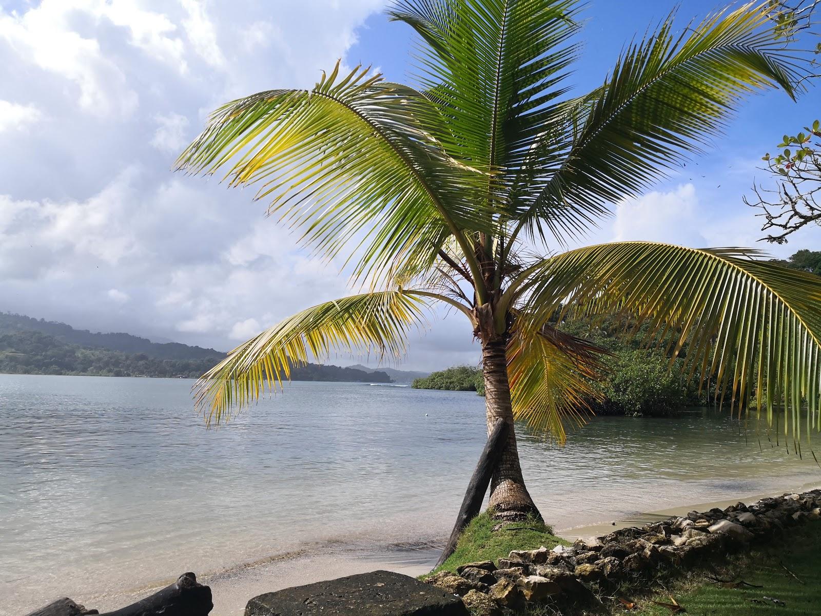 Sandee - HomePage / Portobelo