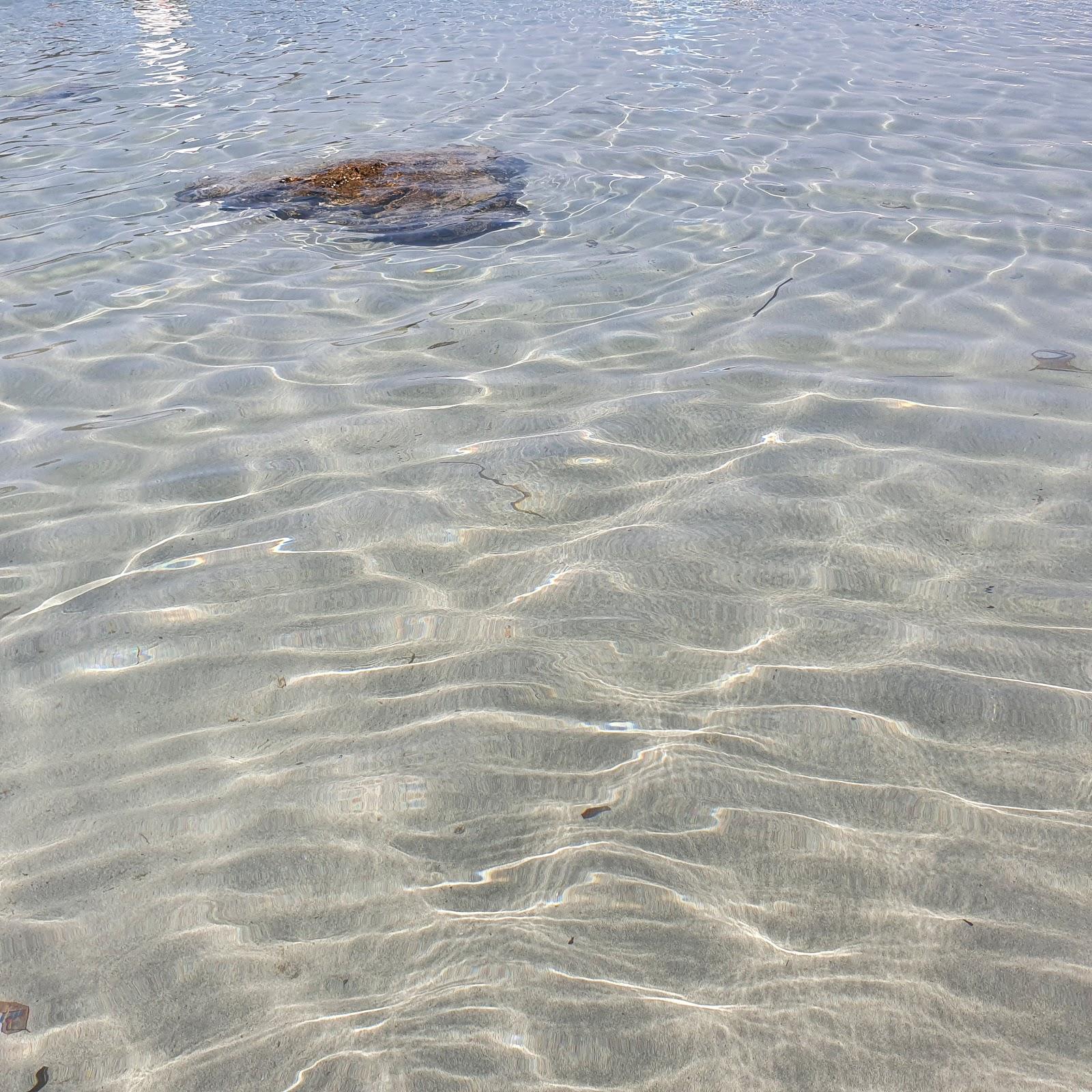 Sandee Penelope Beach Club Stabilimento Balneare Photo