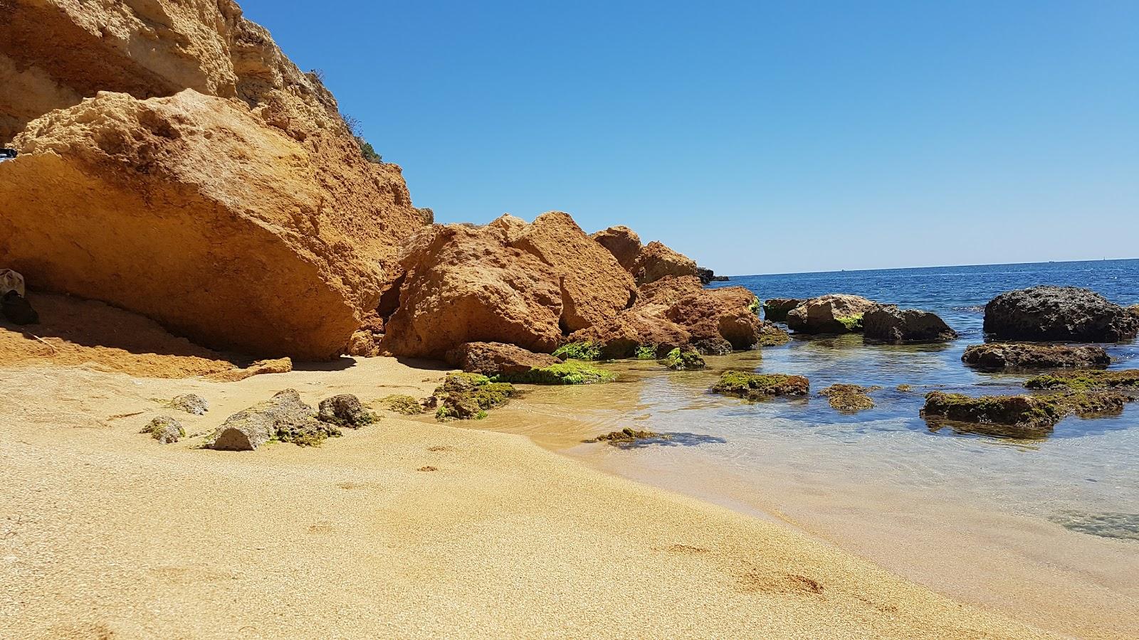 Sandee - Spiaggia Massolivieri