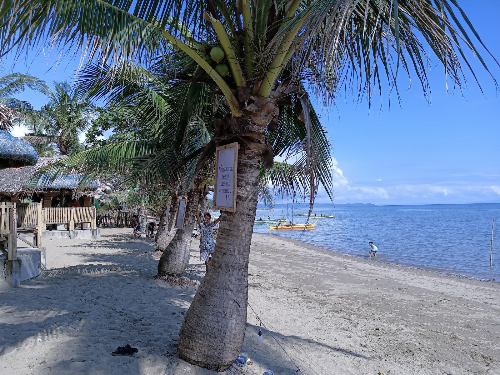 Sandee The Venue Beach Resort