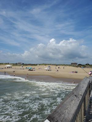 Sandee - Little Island Beach Preserve