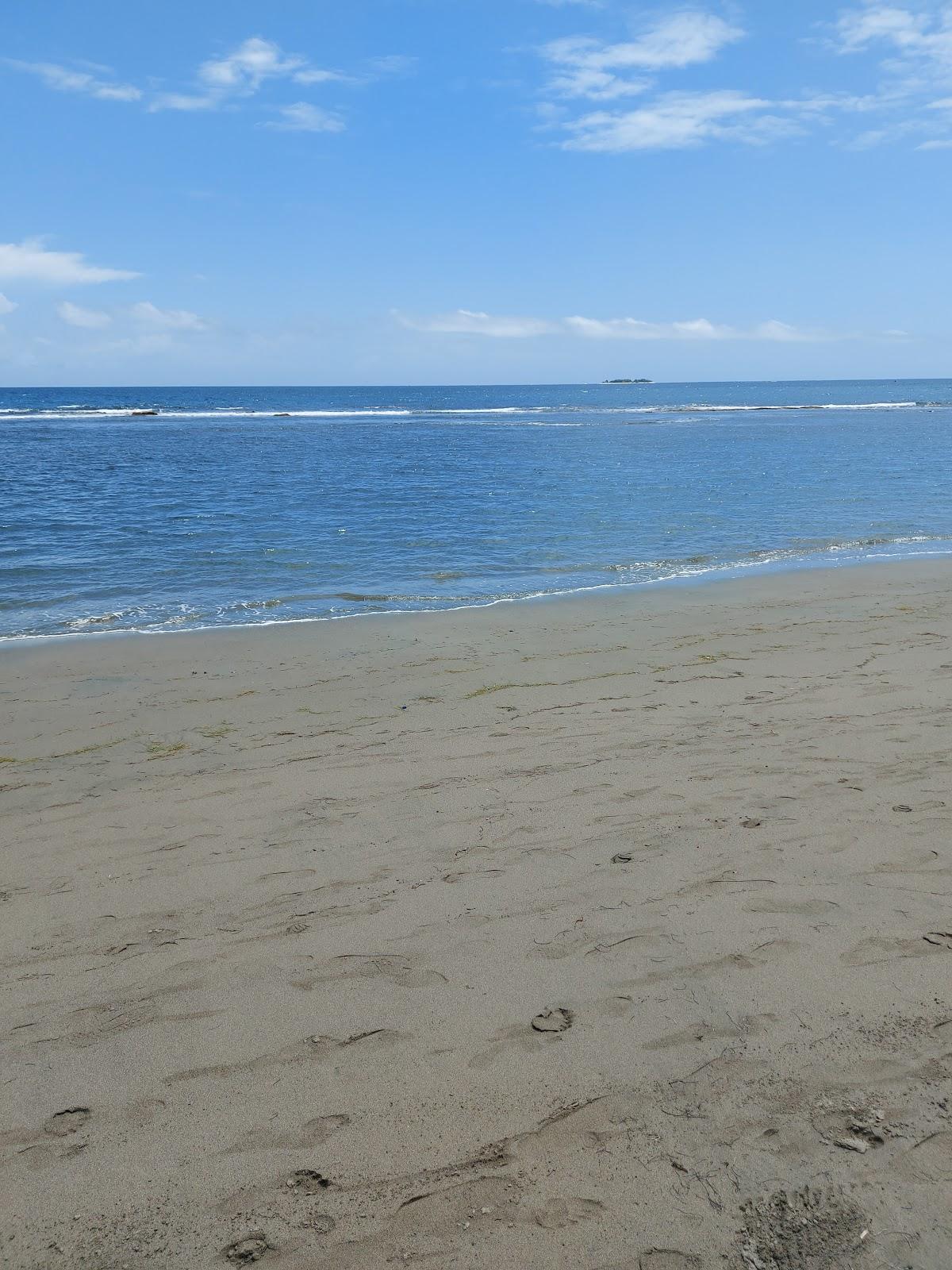 Sandee Camp Louise Beach