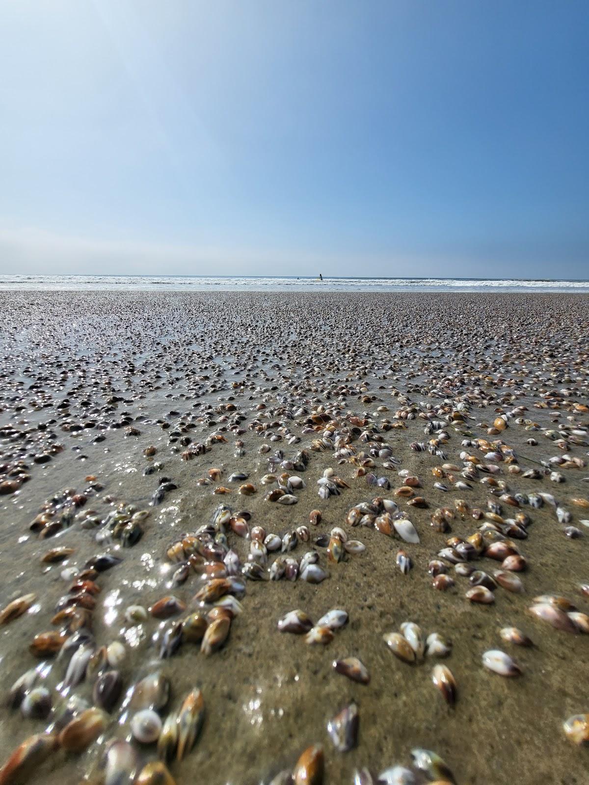 Sandee - La Conchita Beach