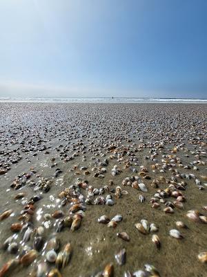 Sandee - La Conchita Beach