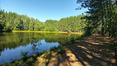 Sandee - Hiawatha National Forest Carp River Access