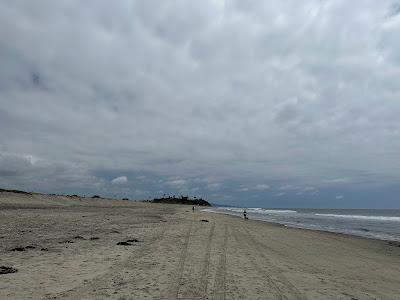 Sandee - Cardiff State Beach - North Beach