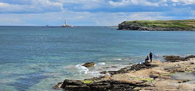 Sandee - Seaton Sluice Beach