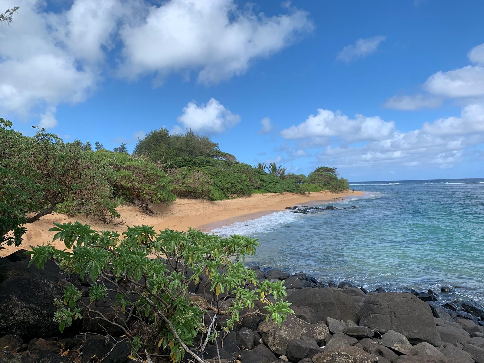 Sandee Larsen's Beach