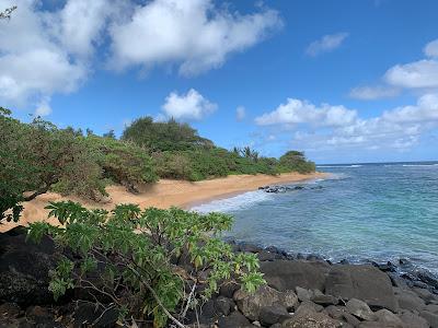 Sandee - Larsen's Beach