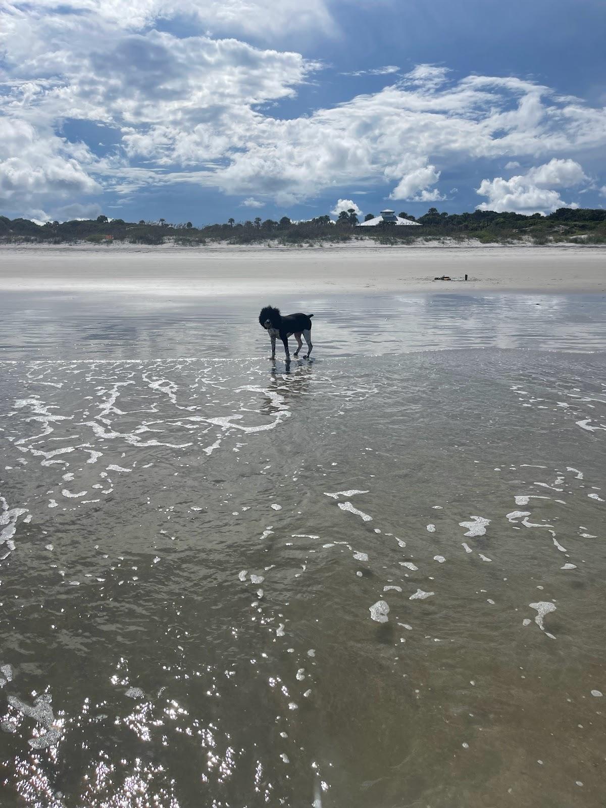 Sandee - Kathryn Abbey Hanna Park Beach