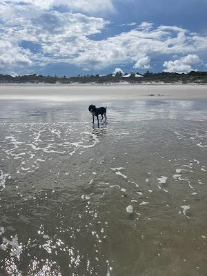 Sandee - Kathryn Abbey Hanna Park Beach