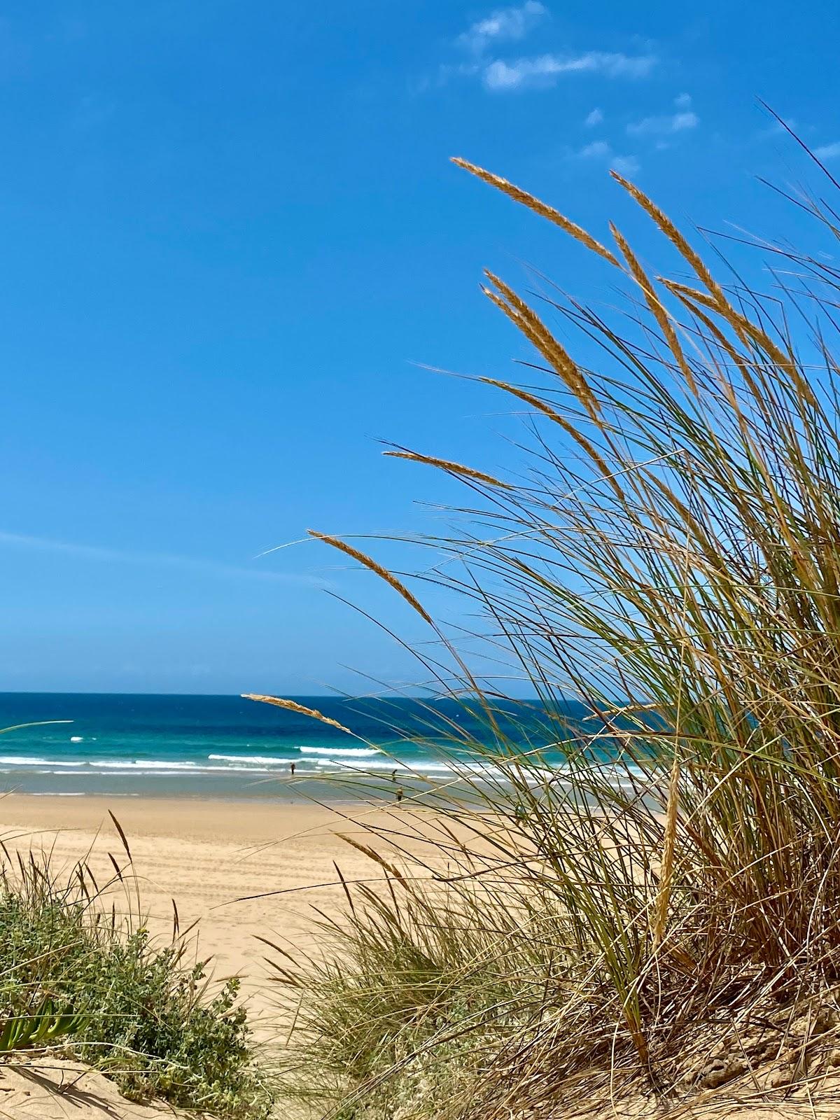 Sandee - Praia Naturista Da Bela Vista Ou Dezanove