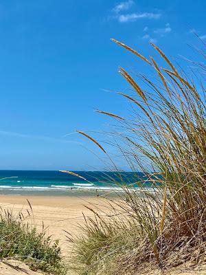 Sandee - Praia Naturista Da Bela Vista Ou Dezanove