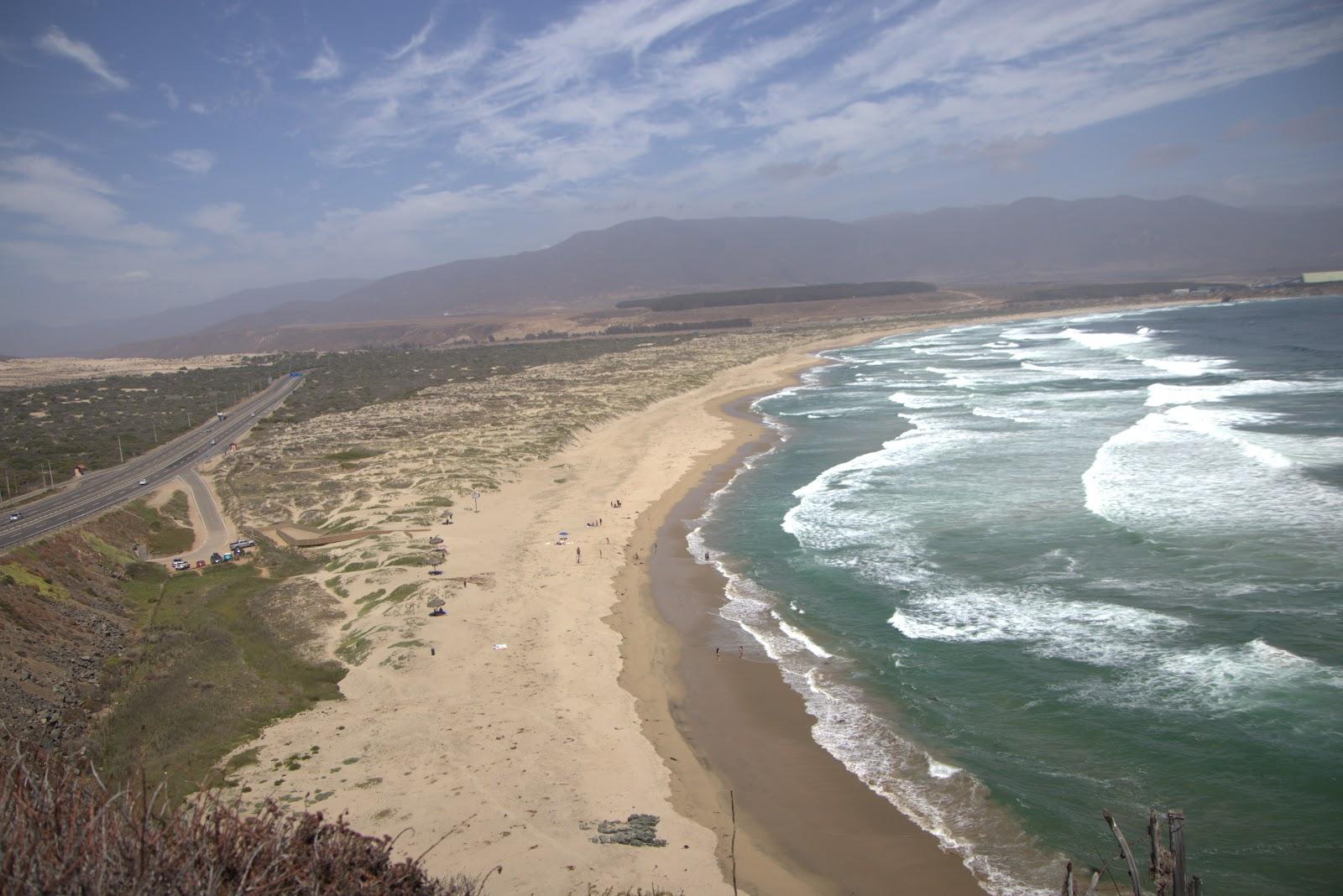 Sandee Playa Amarilla