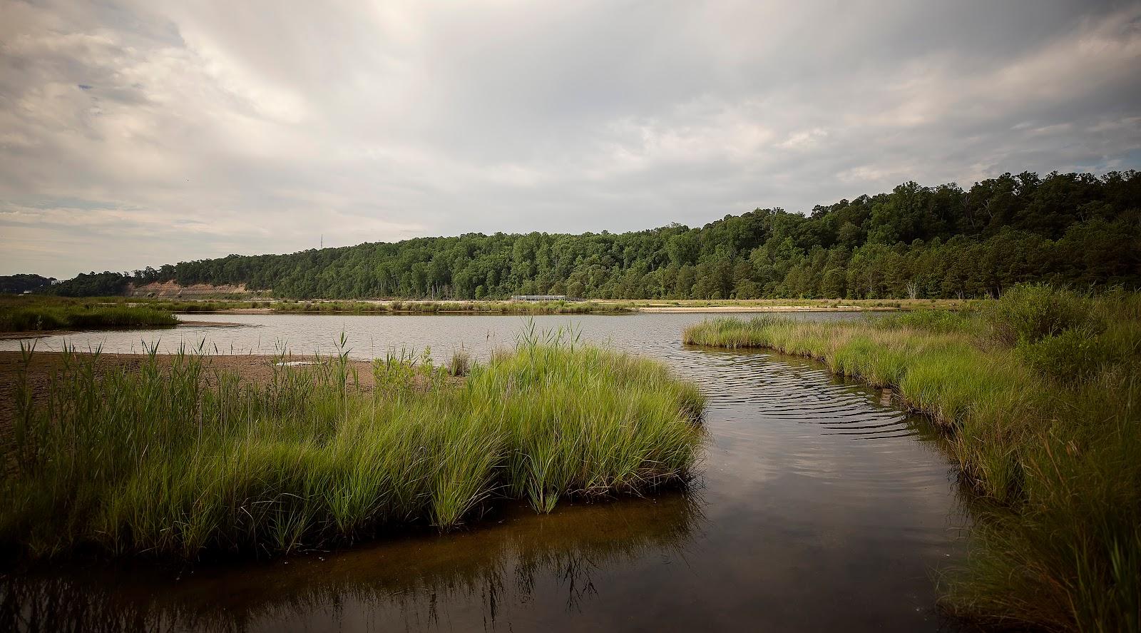 Sandee - Flag Ponds Nature Park