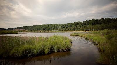 Sandee - Flag Ponds Nature Park