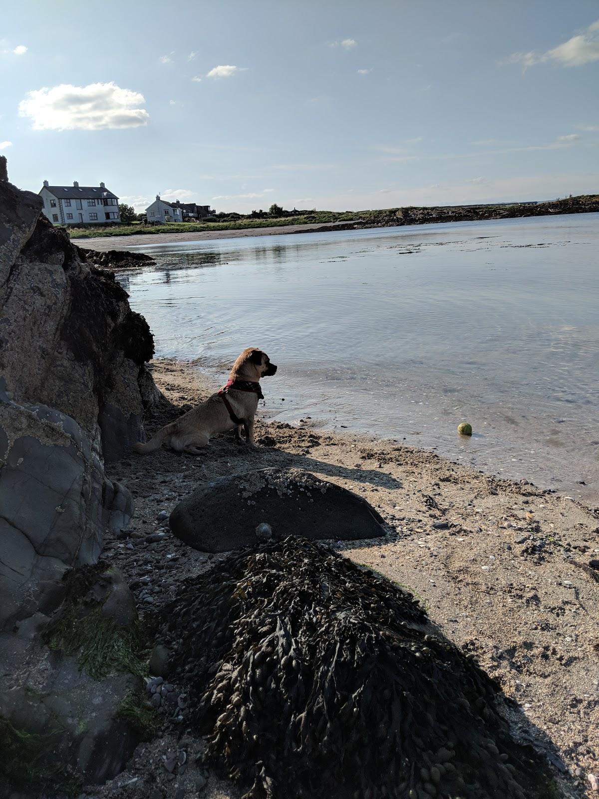 Sandee North Down Bay Beach Photo