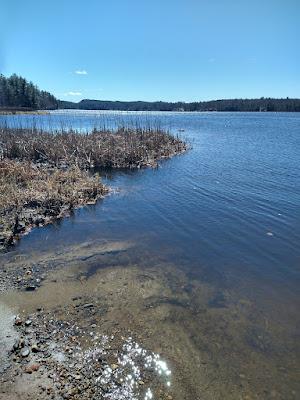 Sandee - Northwood Lake Beach