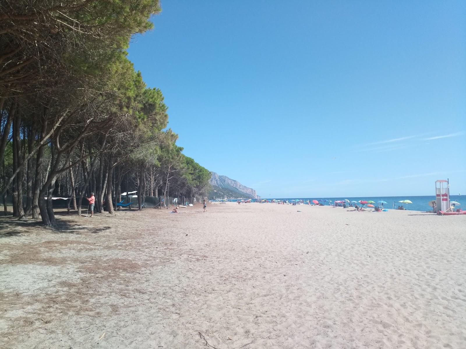 Sandee Spiaggia Delle Rose