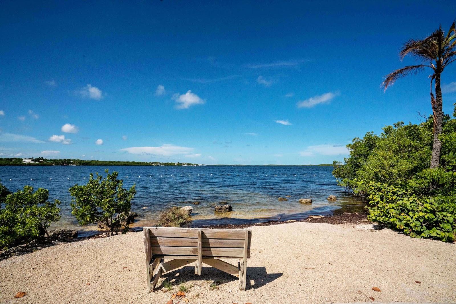 Sandee John Pennekamp Coral Reef State Park Photo