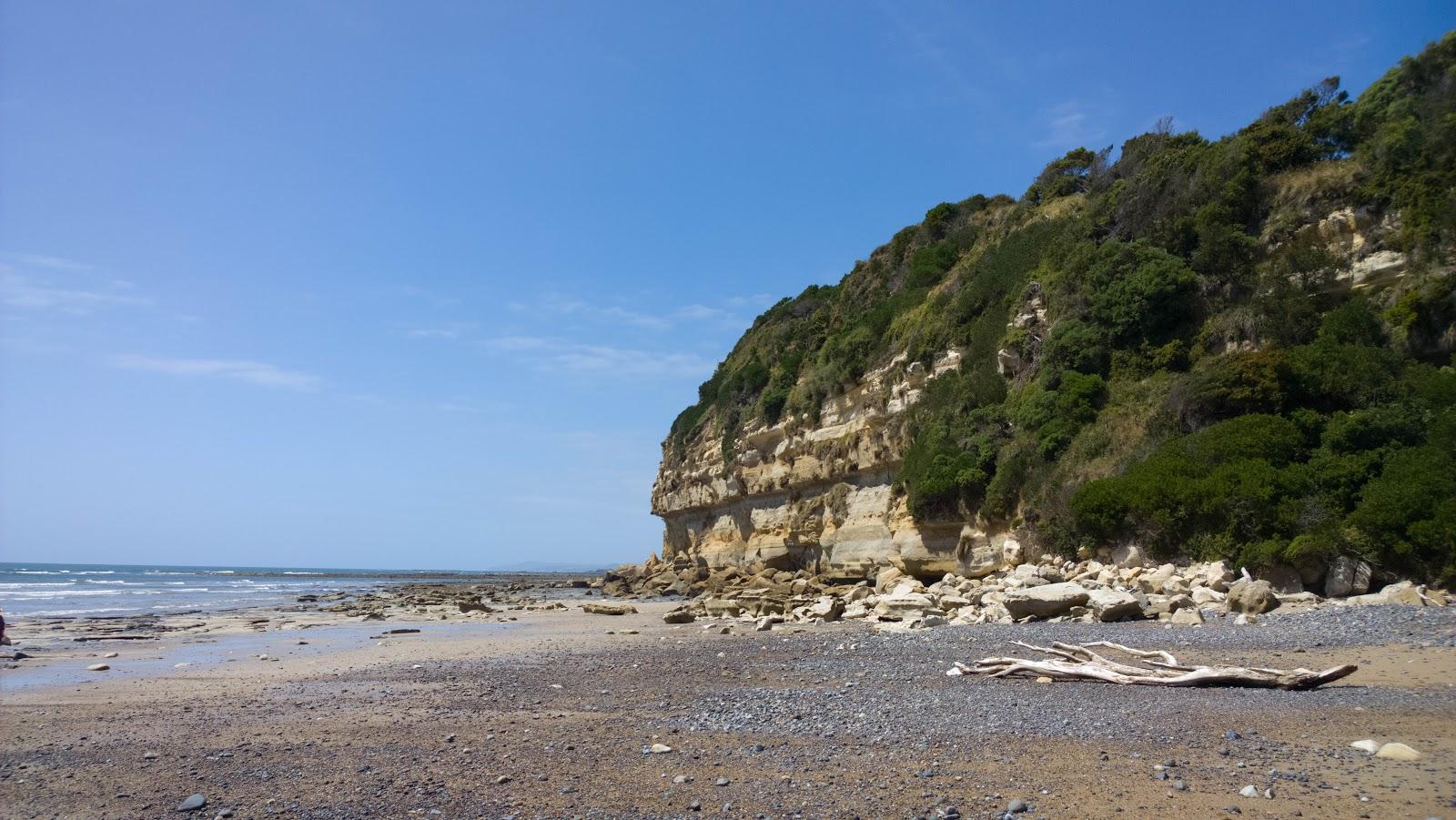 Sandee Fossil Bluff