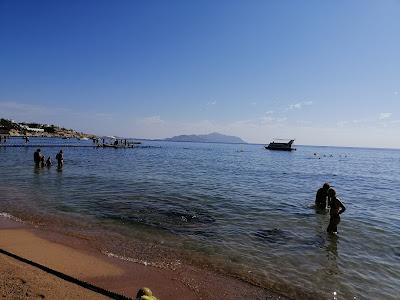 Sandee - Shark Bay Beach