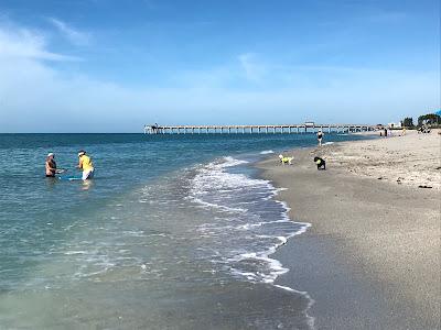 Sandee - Brohard Beach And Paw Park