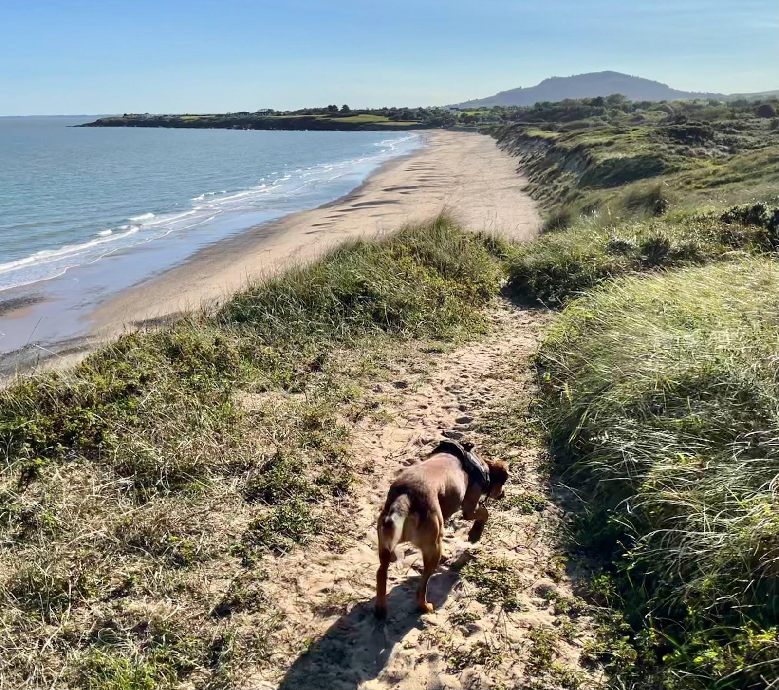 Sandee - Kilpatrick Beach