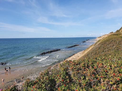 Sandee - Vejby Strand